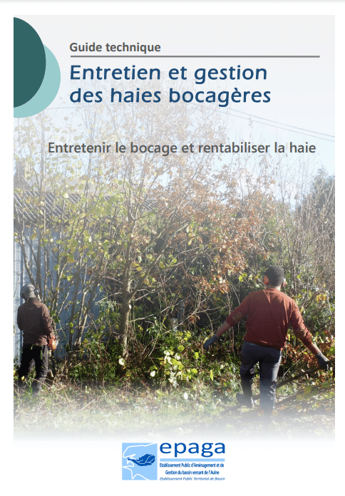 Entretien haie bocagères