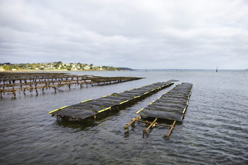 aLamoureux-EPAGA_MG_7073