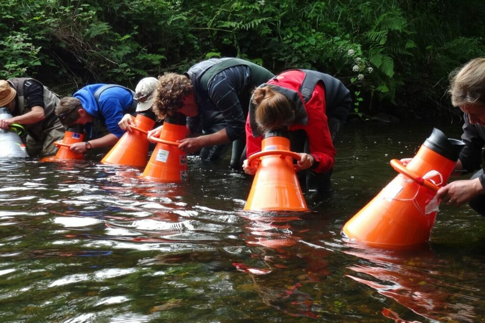 prospection-mulette-ellez