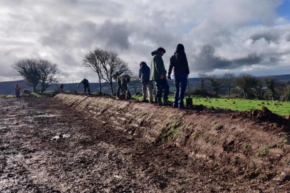 2022_chantier_plantation_kerliver