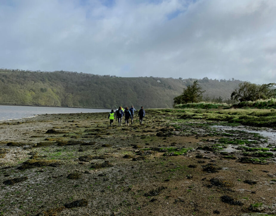 ramassage déchet à Trégarvan
