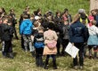 Les élÚves de l'école primaire publique Julie Daubié de Saint-Ségal sur leur aire éducative accompagnés par Maëla PERON de l'EPAGA en mai 2026